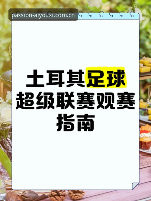 世界杯球迷签证危机vs.观赛体验：约旦土耳其球迷的赴美困境与爱游戏体育的另类视角
